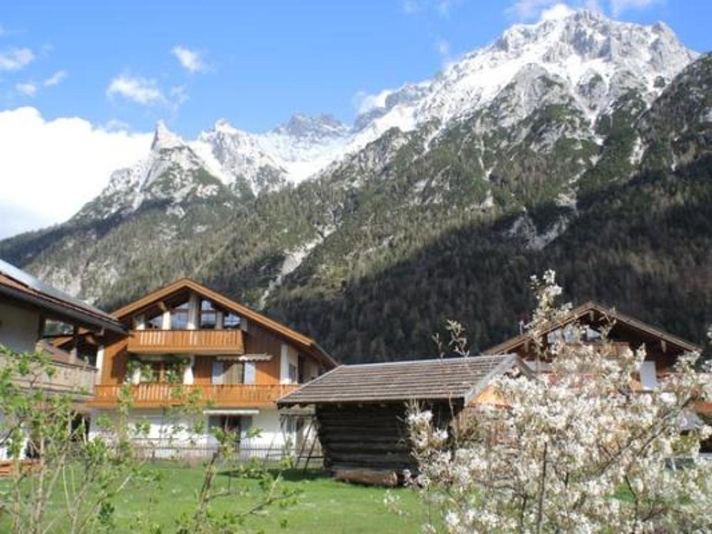 Gaensebluemchen -805- * Mittenwald